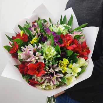17 alstroemeria