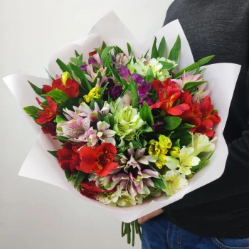 17 alstroemeria